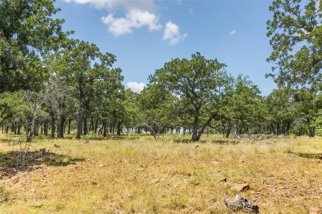 16.5 Acres Burwick Road Jacksboro TX 76458