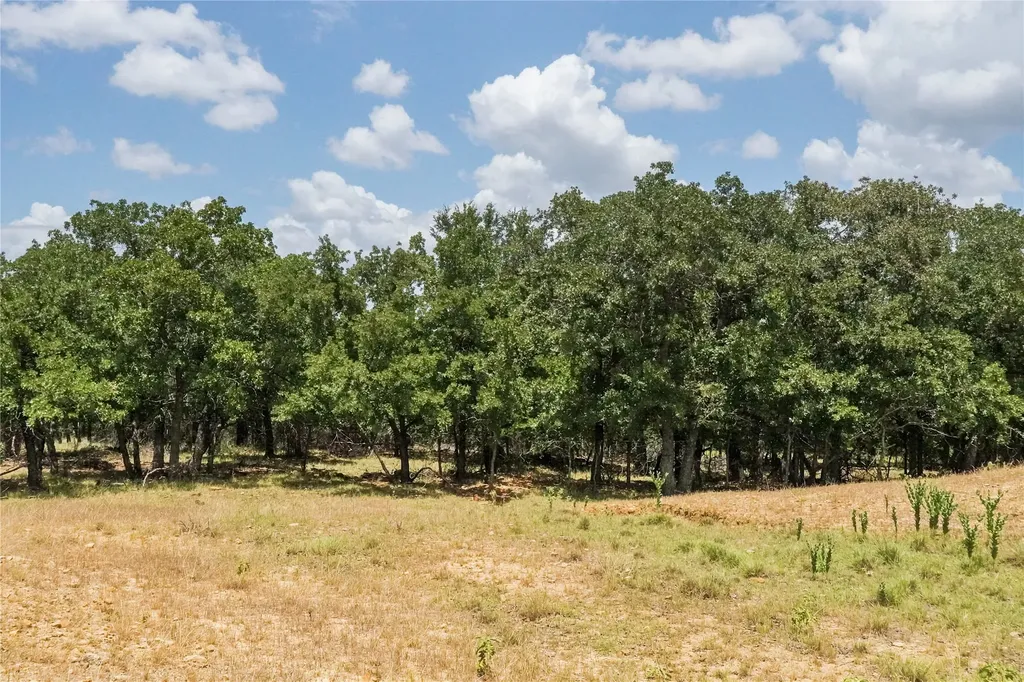 16.5 Acres Burwick Road Jacksboro TX 76458