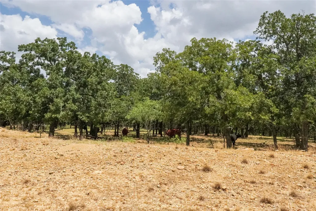 16.5 Acres Burwick Road Jacksboro TX 76458