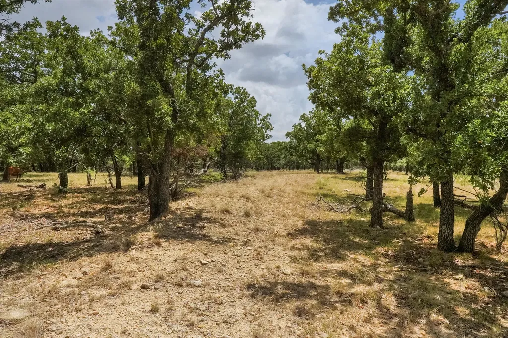 16.5 Acres Burwick Road Jacksboro TX 76458