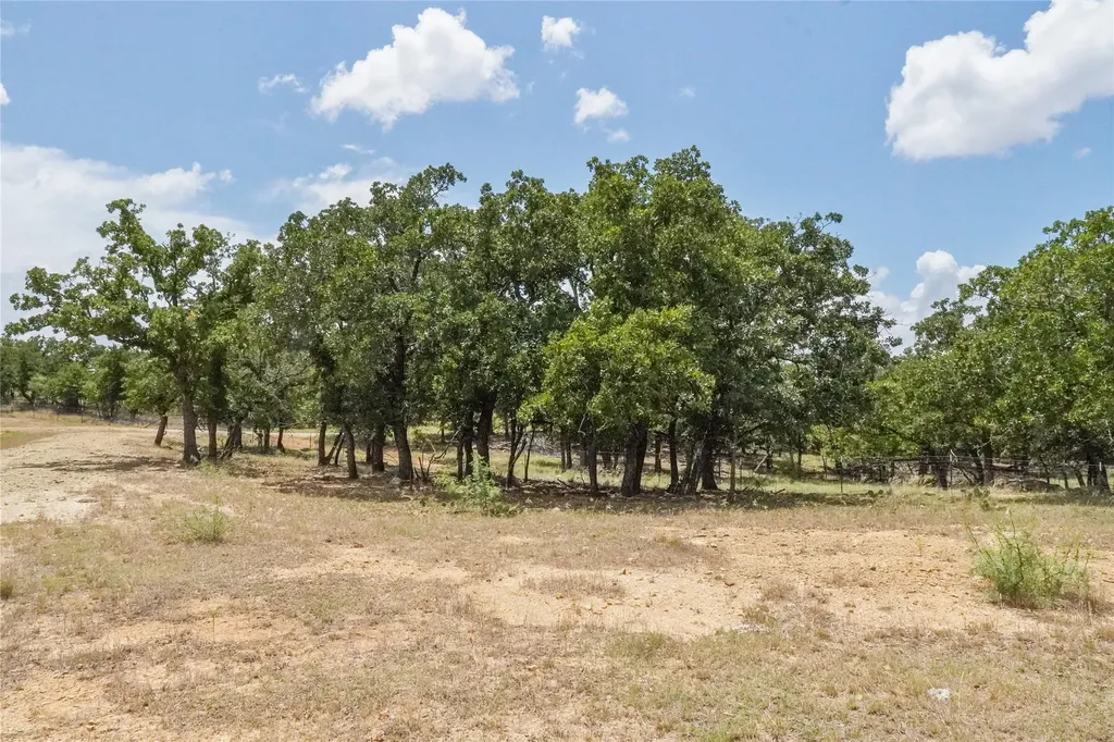 16.5 Acres Burwick Road Jacksboro TX 76458