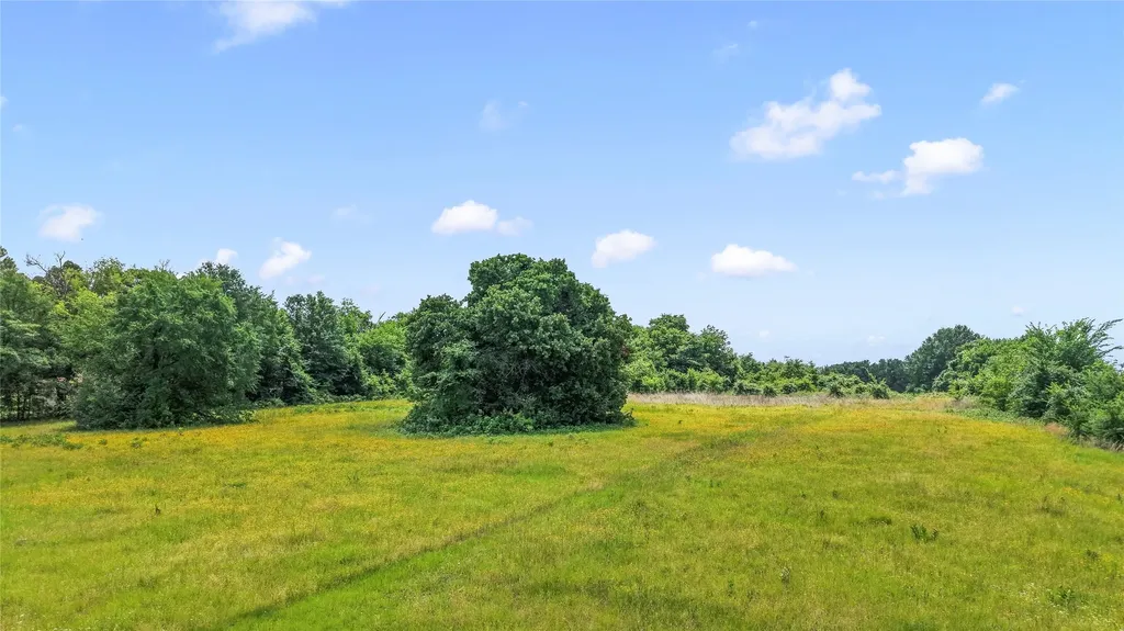 0 County Road 2300 Gun Barrel City TX 75156