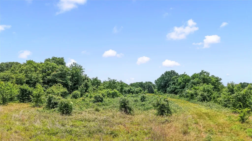 0 County Road 2300 Gun Barrel City TX 75156