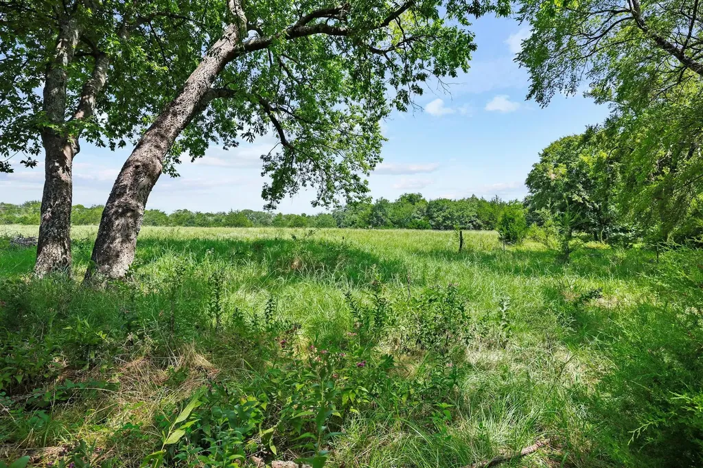 2496 Greer Road Sadler TX 76264