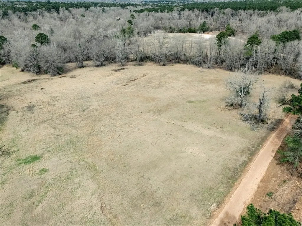 1425 State Highway 300 Gilmer TX 75645