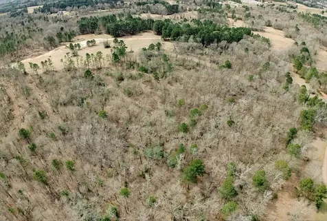 1425 State Highway 300 Gilmer TX 75645