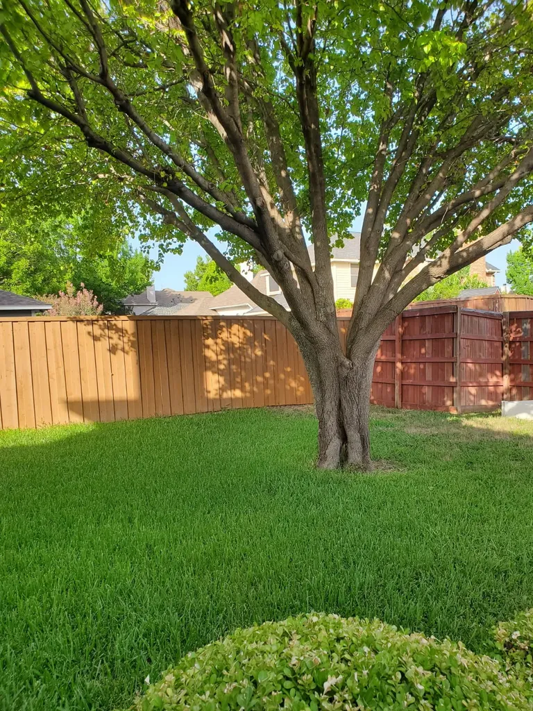1704 Quail Run Drive Garland TX 75040
