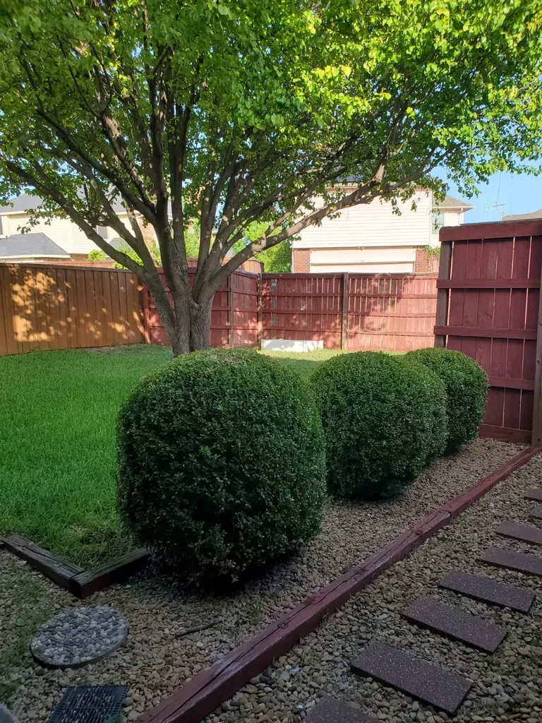 1704 Quail Run Drive Garland TX 75040