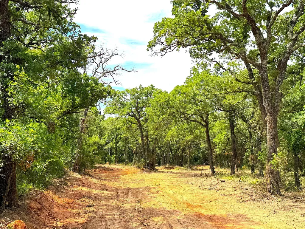 Tbd Turpin Lake Road Poolville TX 76487