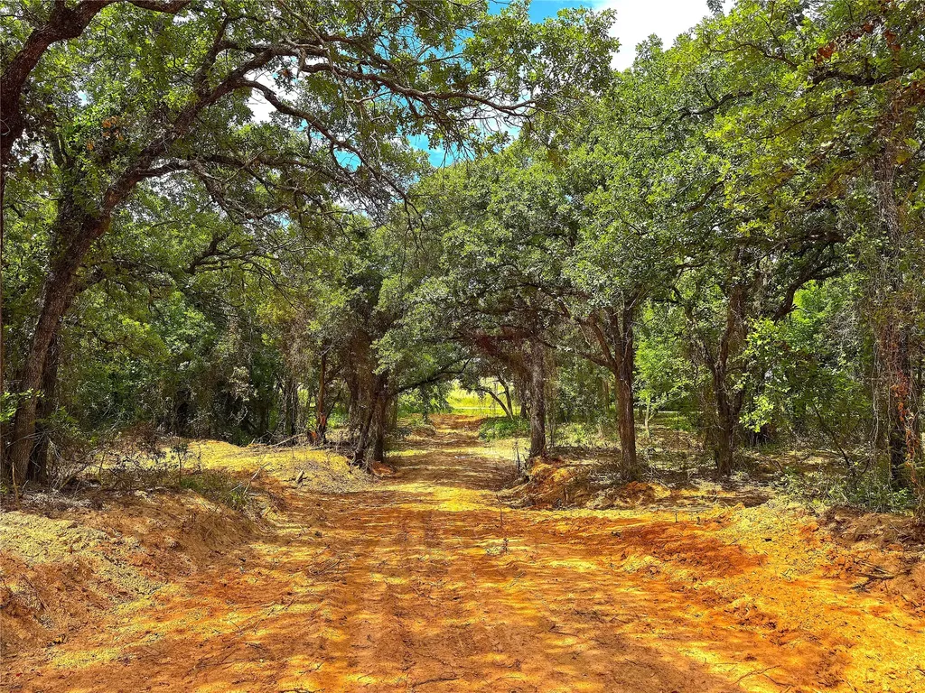 Tbd Turpin Lake Road Poolville TX 76487