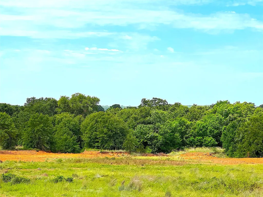 Tbd Turpin Lake Road Poolville TX 76487