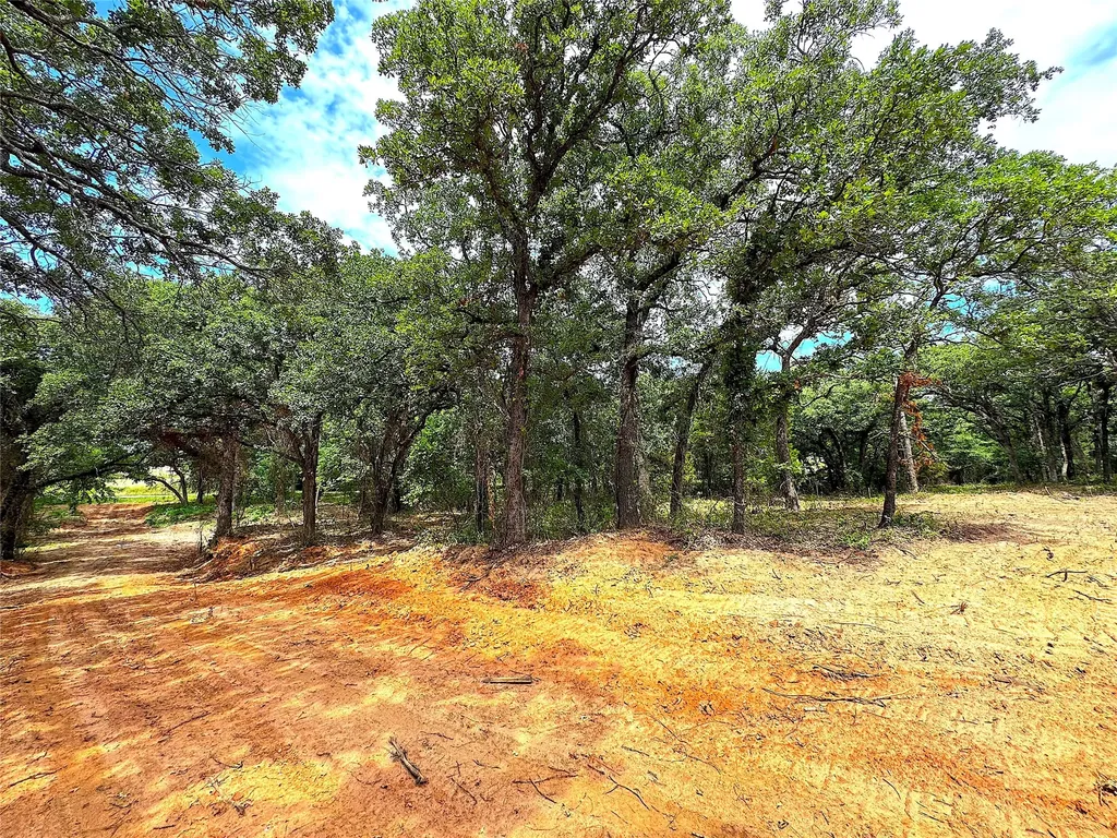 Tbd Turpin Lake Road Poolville TX 76487
