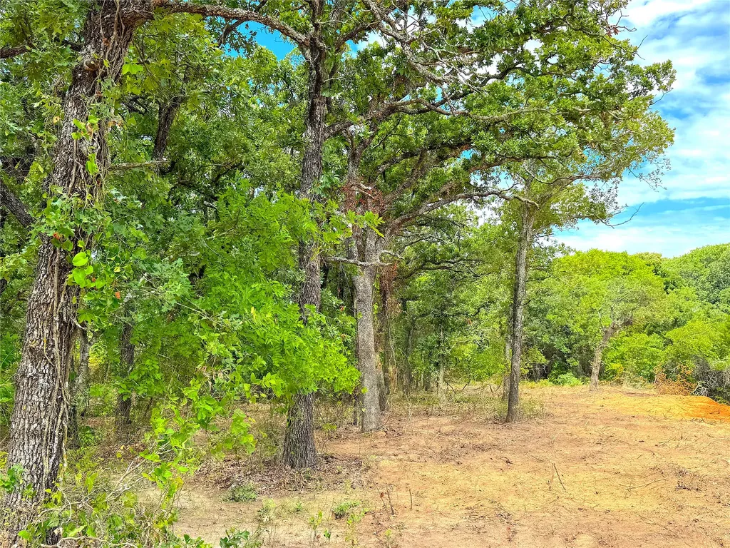 Tbd Turpin Lake Road Poolville TX 76487
