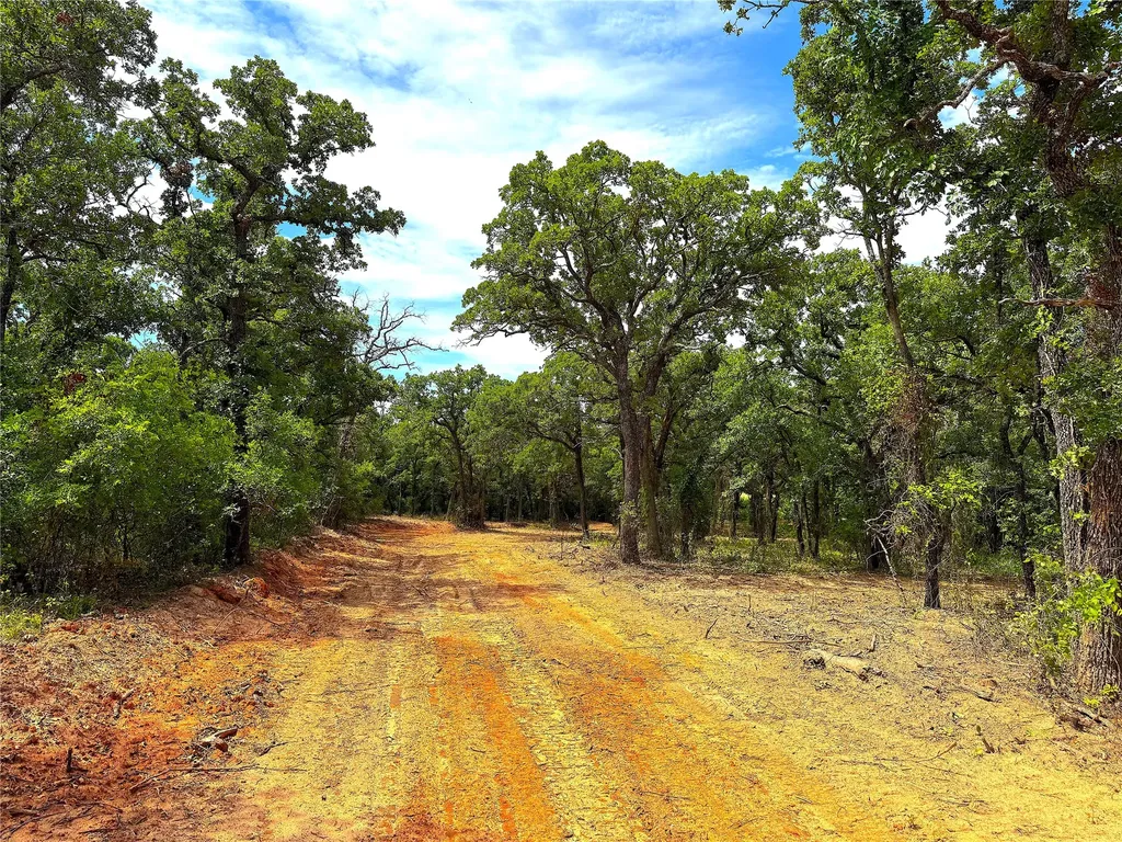 Tbd Turpin Lake Road Poolville TX 76487