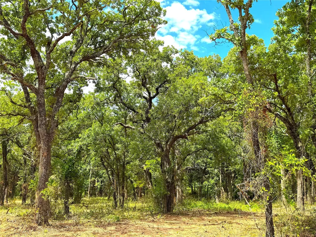 Tbd Turpin Lake Road Poolville TX 76487