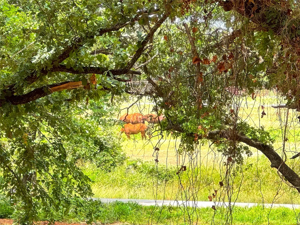Tbd Turpin Lake Road Poolville TX 76487