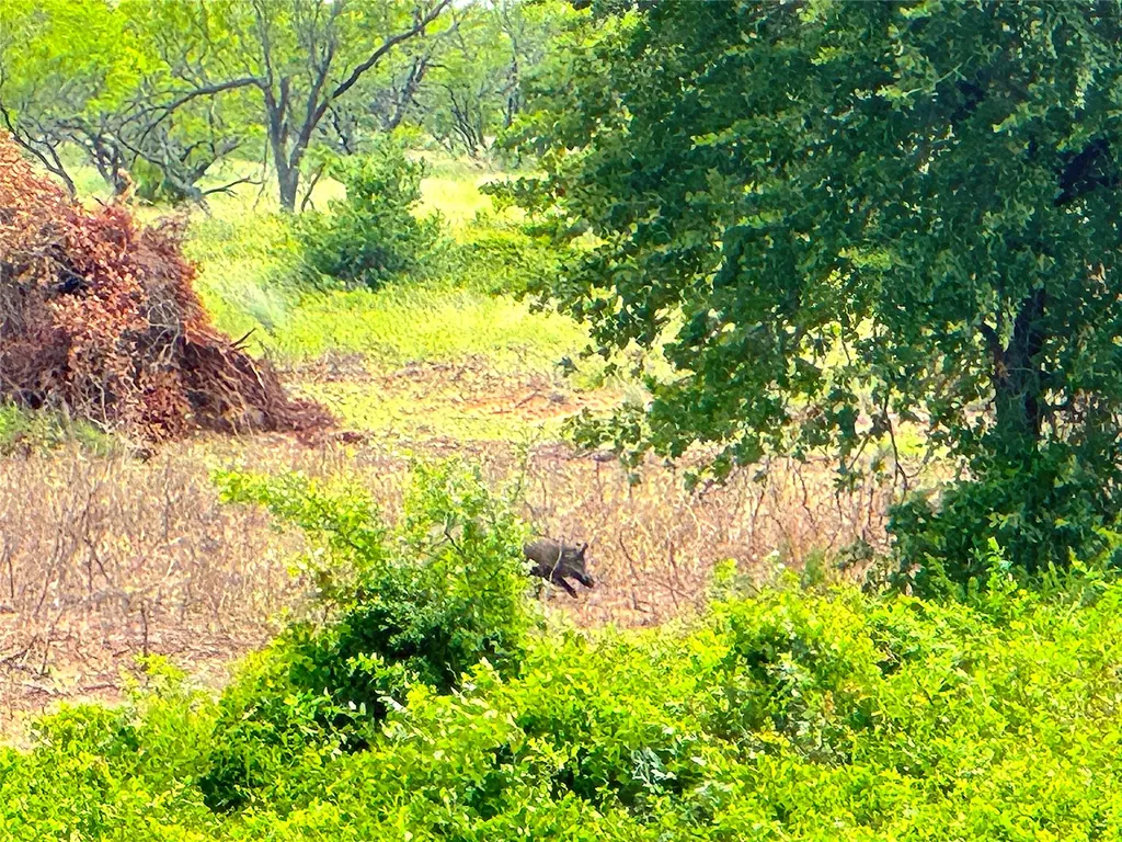 Tbd Turpin Lake Road Poolville TX 76487