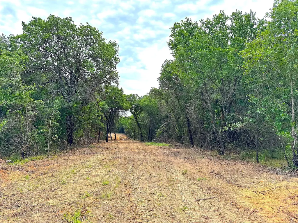Tbd Turpin Lake Road Poolville TX 76487