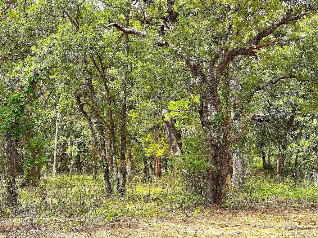 Tbd Turpin Lake Road Poolville TX 76487