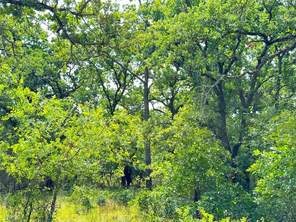 Tbd Turpin Lake Road Poolville TX 76487