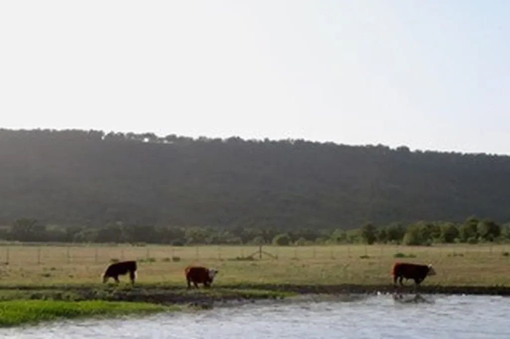 185 Beddo Bluff Court Santo TX 76472