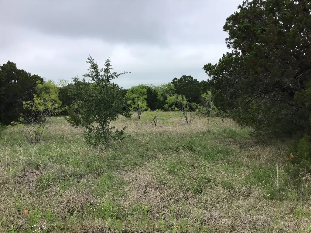 44163 High Crest Drive Whitney TX 76692