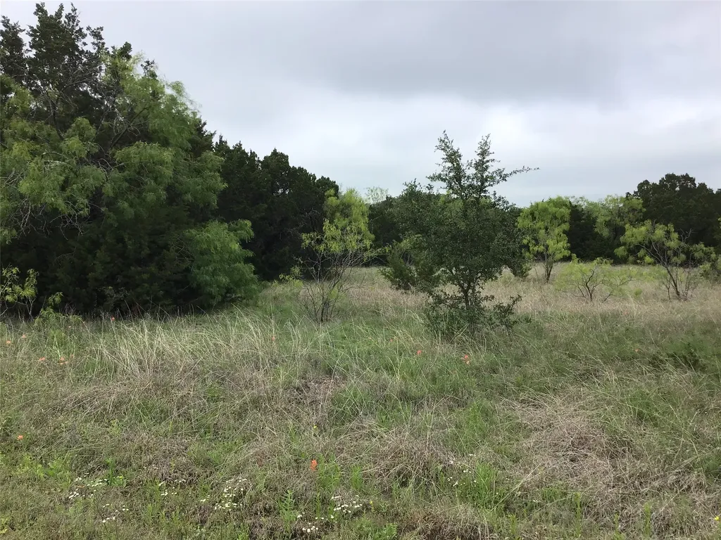 44163 High Crest Drive Whitney TX 76692