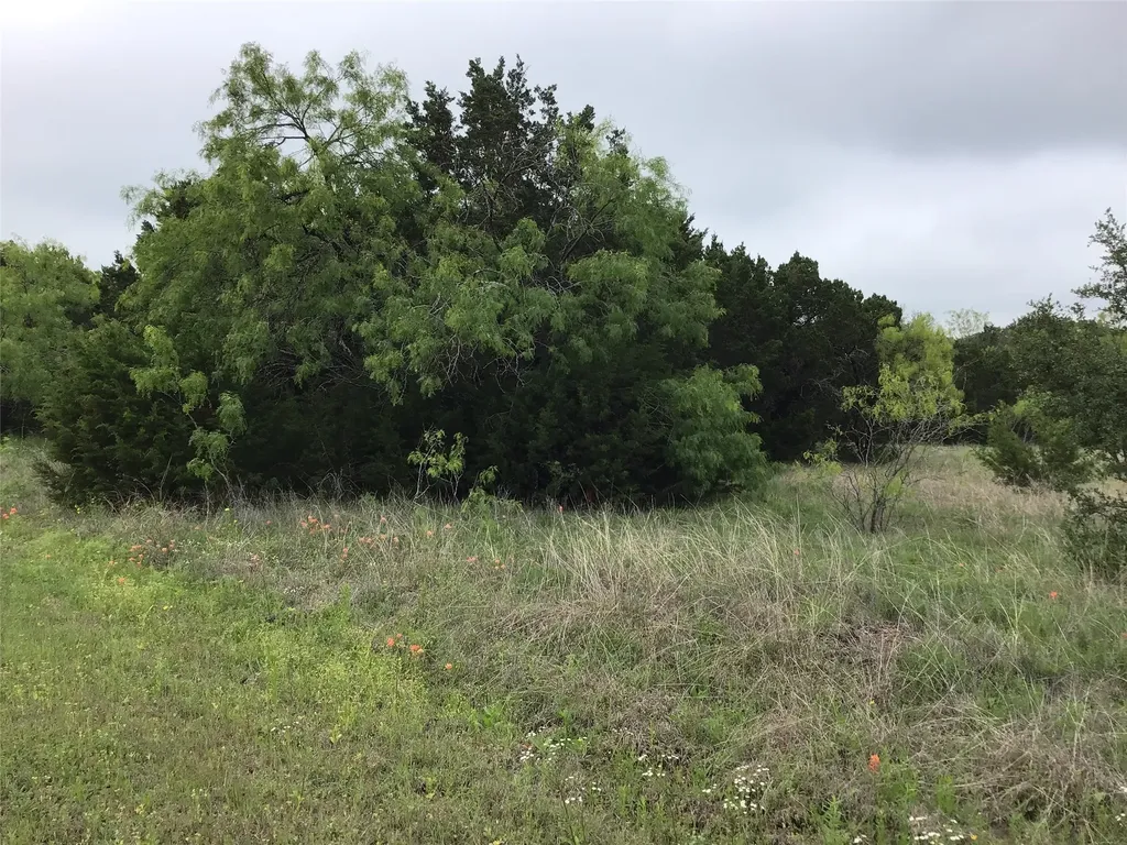44163 High Crest Drive Whitney TX 76692