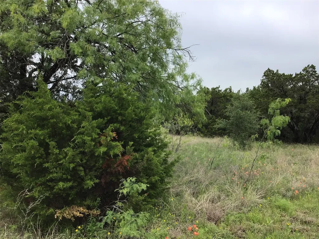 44163 High Crest Drive Whitney TX 76692