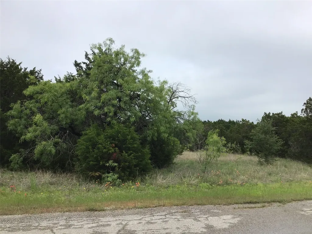 44163 High Crest Drive Whitney TX 76692