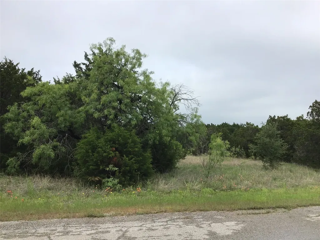 44163 High Crest Drive Whitney TX 76692