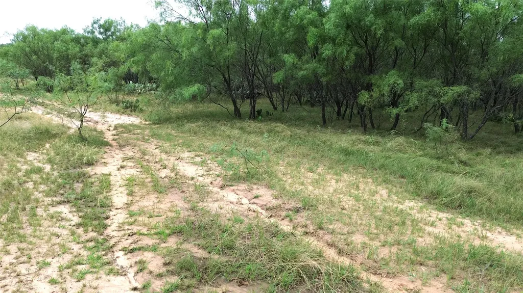 Tbd Cr 248 A Comanche TX 76442