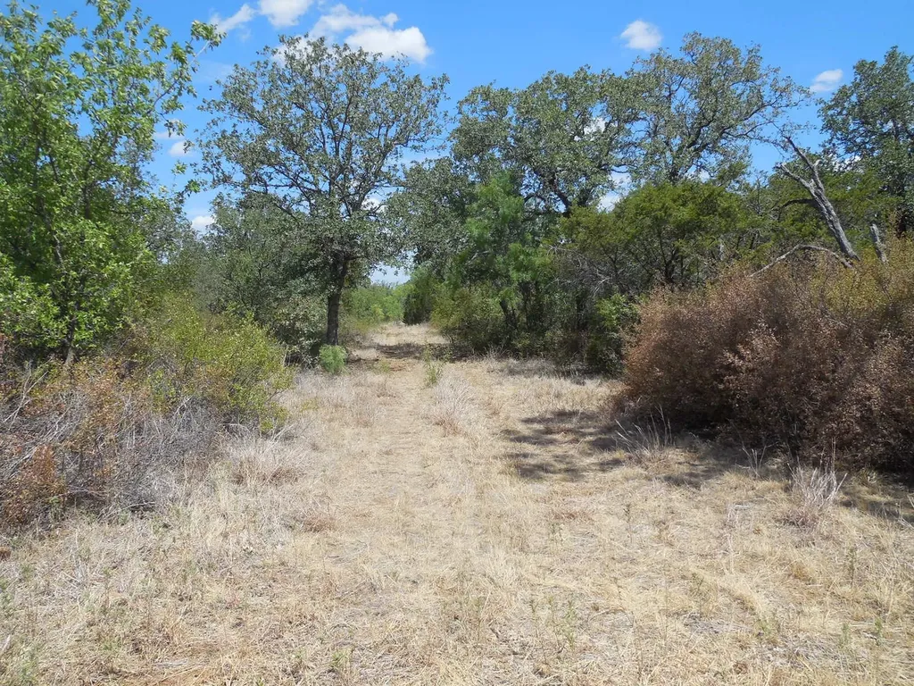 Tbd 10 Acres Cr 136 Ranger TX 76470