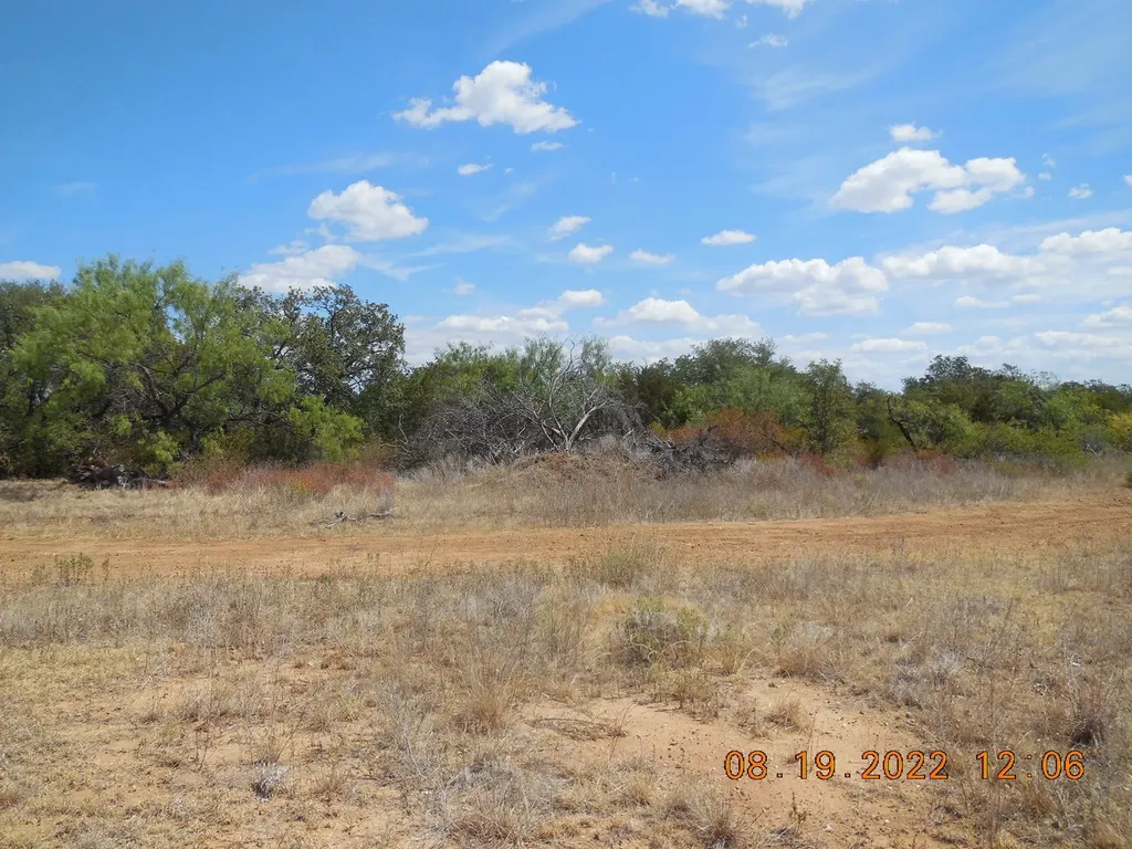 Tbd 10 Acres Cr 136 Ranger TX 76470