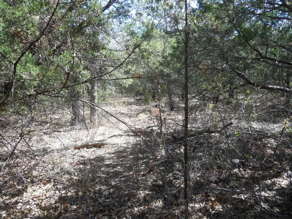 Tbd 10 Acres Cr 136 Ranger TX 76470