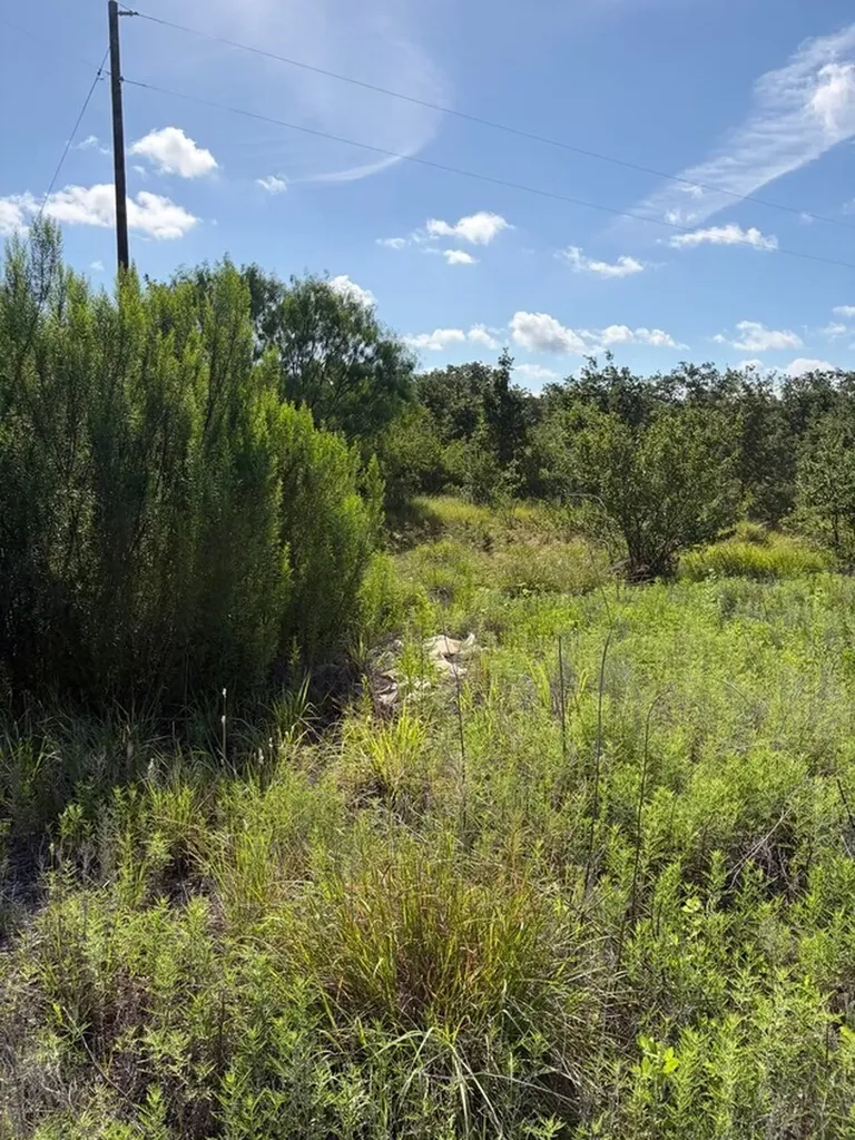 8214 County Road 120 Gordon TX 76453