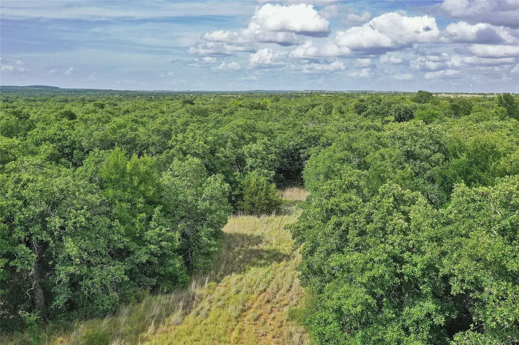 157 Acres Nash Road Jacksboro TX 76458