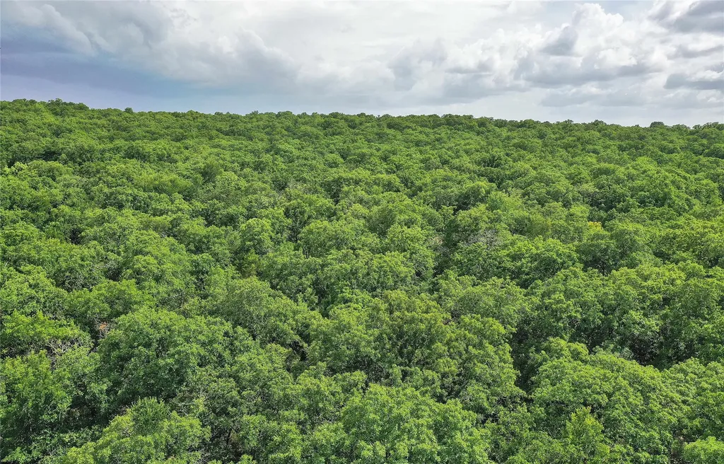 157 Acres Nash Road Jacksboro TX 76458