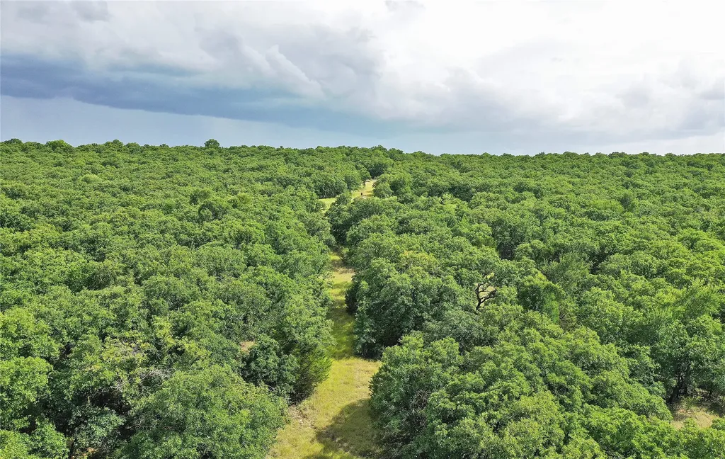157 Acres Nash Road Jacksboro TX 76458