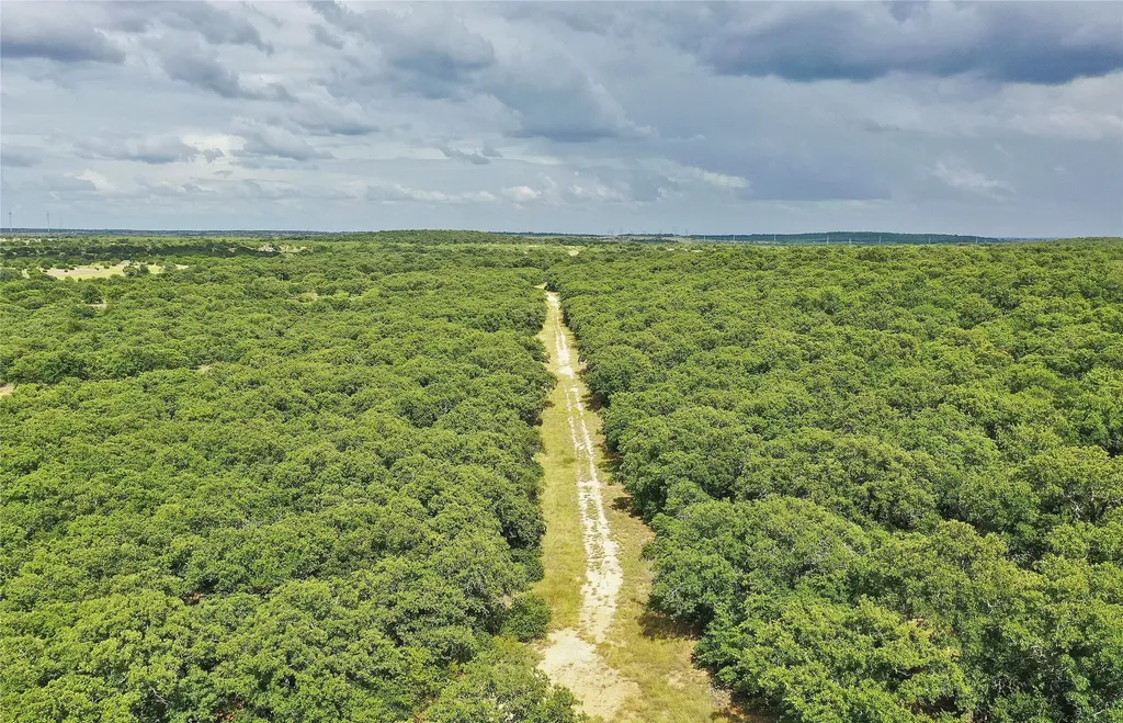 157 Acres Nash Road Jacksboro TX 76458