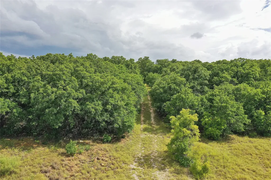 157 Acres Nash Road Jacksboro TX 76458