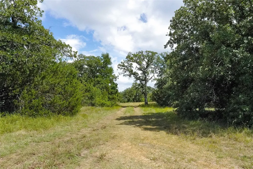 157 Acres Nash Road Jacksboro TX 76458