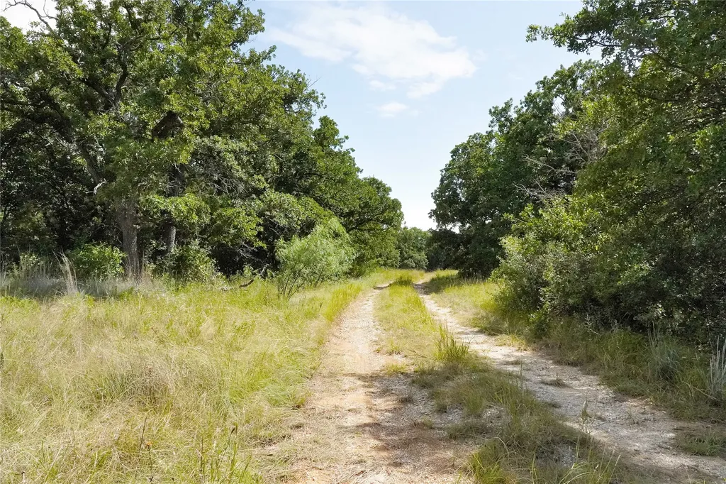 157 Acres Nash Road Jacksboro TX 76458