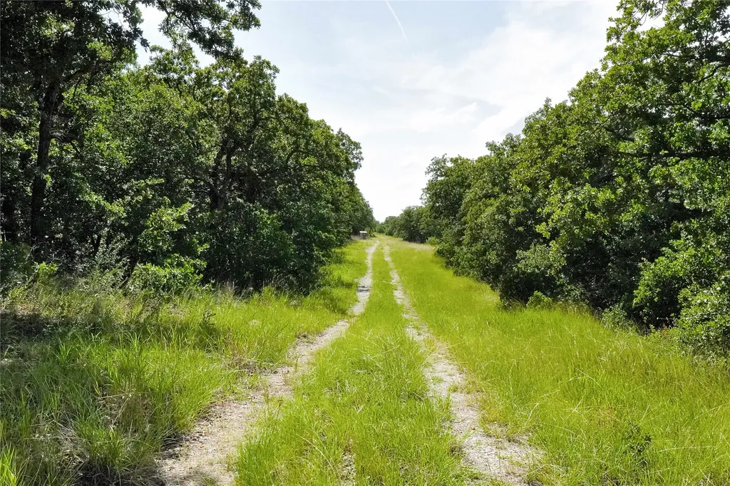 157 Acres Nash Road Jacksboro TX 76458