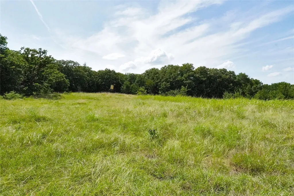 157 Acres Nash Road Jacksboro TX 76458