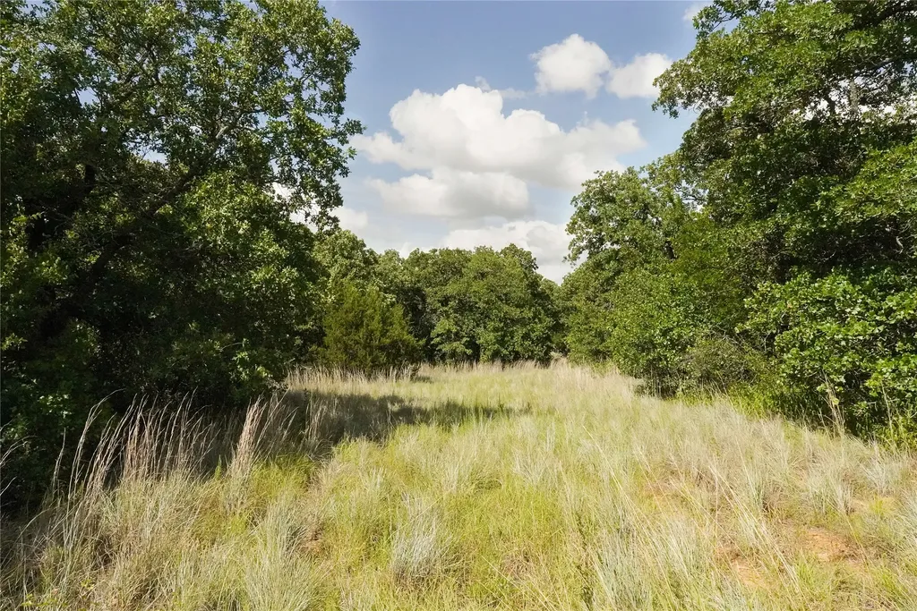 157 Acres Nash Road Jacksboro TX 76458