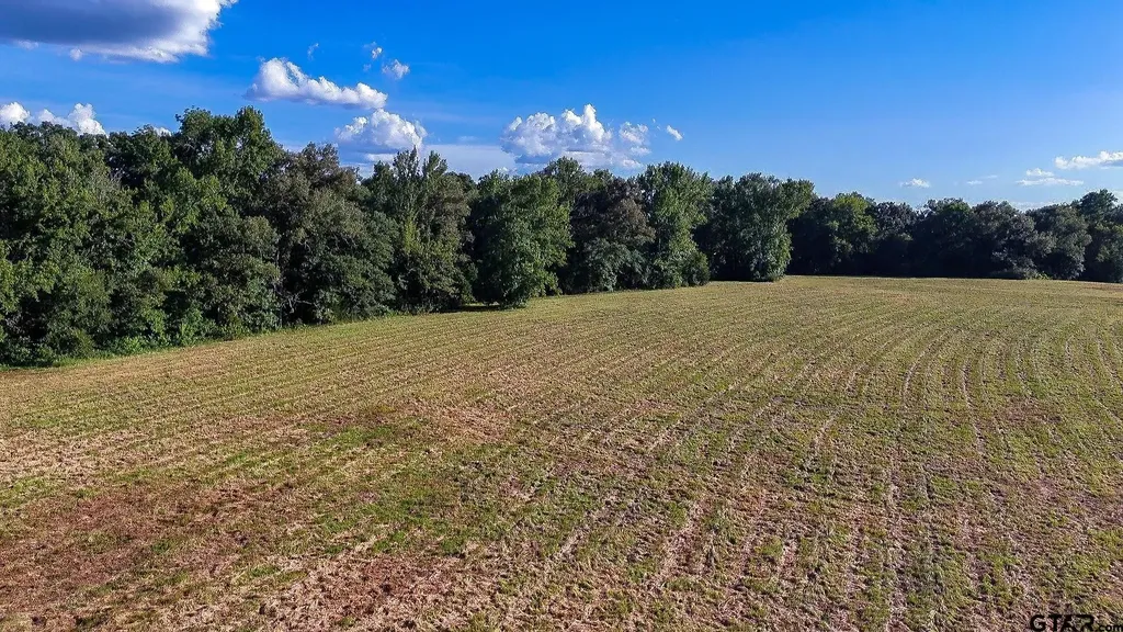 Tbd E Highway 11 Winnsboro TX 75494