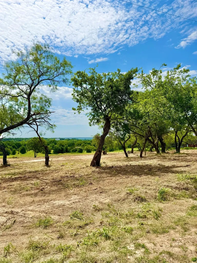 Tba County Road 3848 Poolville TX 76487