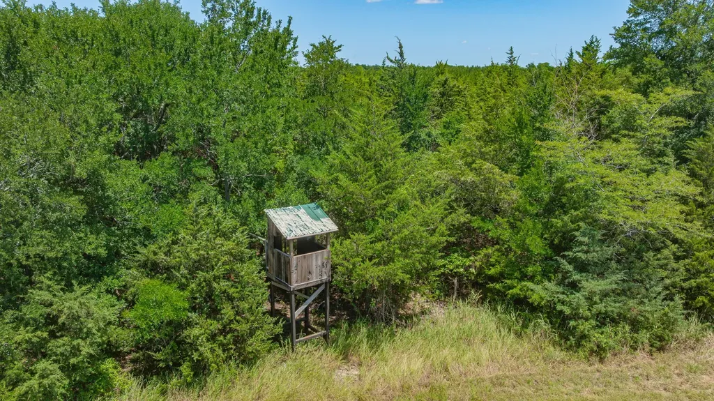 Tbd Cr 3320 End Pecan Gap TX 75469