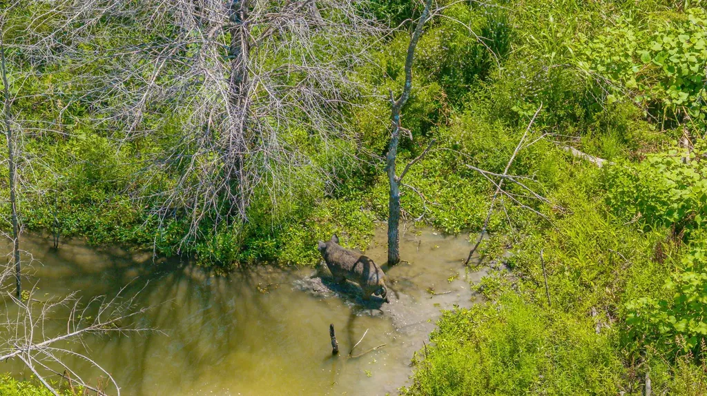 Tbd Cr 3320 End Pecan Gap TX 75469